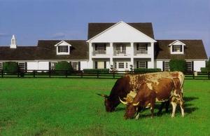 Southfork one
